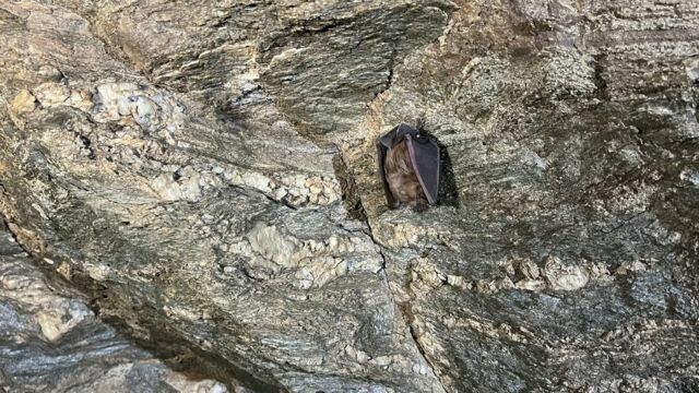 Aperture: 2
Camera: iPhone 13 mini
Iso: 400
Orientation: 1 2024-03-17-Grottes-San-Michele-Oubliee-Steph JCLM 012
