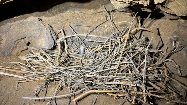 Aperture: 2
Camera: iPhone 13 mini
Iso: 125
Orientation: 1 2024-03-17-Grottes-San-Michele-Oubliee-Steph JCLM 017