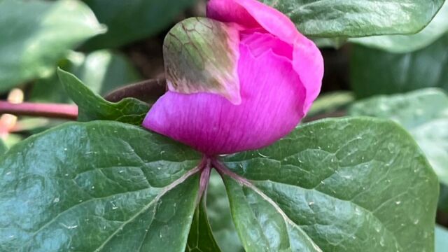 Aperture: 2
Camera: iPhone 13 mini
Iso: 64
Orientation: 1 2024-04-07-I-Luminelli-Querceto-Tonda LMJC 016