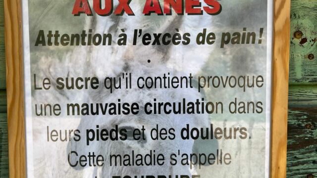 Aperture: 2
Camera: iPhone 13 mini
Iso: 50
Orientation: 1 2024-04-16-Mines-de-Pietralba LMJC 013