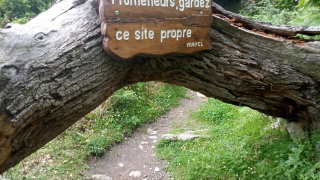2024-05-20-Monte-a-Lucciana Micca 003