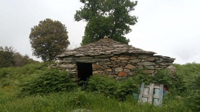 2024-05-20-Monte-a-Lucciana Micca 004