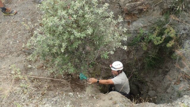 Aperture: 3
Camera: TG-4
Iso: 100
Orientation: 1