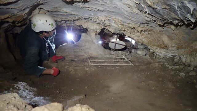 Aperture: 2
Camera: TG-4
Iso: 400
Orientation: 1 1ère chatière