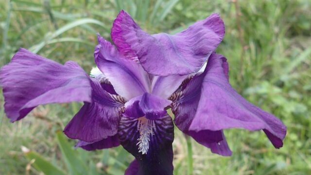 Aperture: 2
Camera: TG-4
Iso: 100
Orientation: 1 Cap Sagro JCL