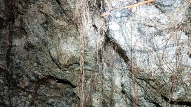 2025-04-23-Piana-Tartagine Micca 011