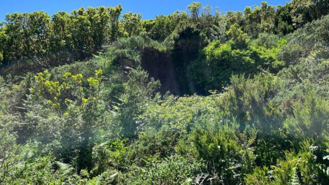 Aperture: 2
Camera: iPhone 13 mini
Iso: 50
Orientation: 1 2025-05-01-Prospection-Lidar-Dolo LMJC 01