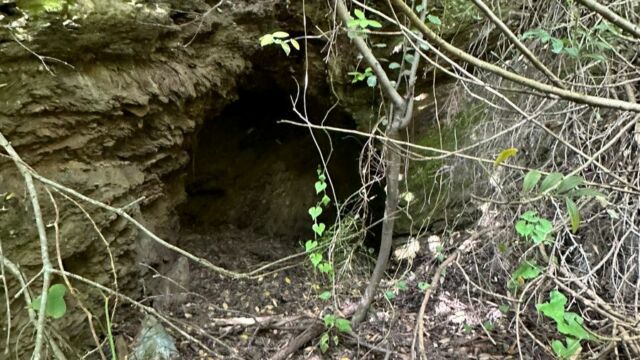 2025-05-04-Grotte-de-Corte-Meria AD 031