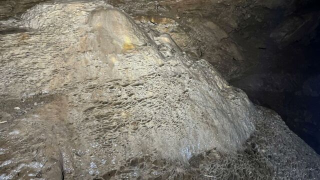 Aperture: 2
Camera: iPhone 13 mini
Iso: 500
Orientation: 1 2025-05-04-Grotte-de-Corte-Meria LMJC 011