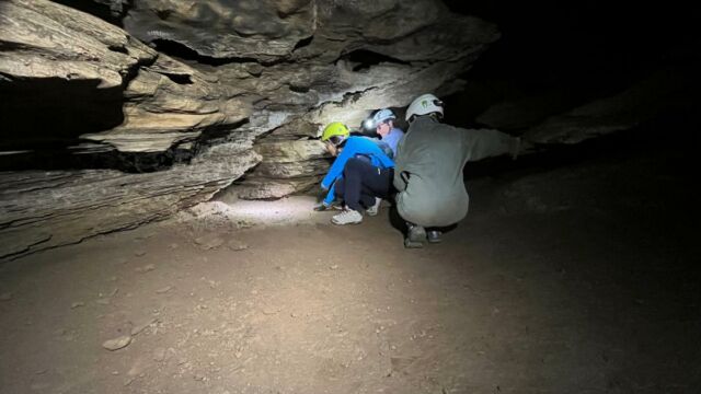 Aperture: 2
Camera: iPhone 13 mini
Iso: 1600
Orientation: 1 2025-05-04-Grotte-de-Corte-Meria LMJC 013