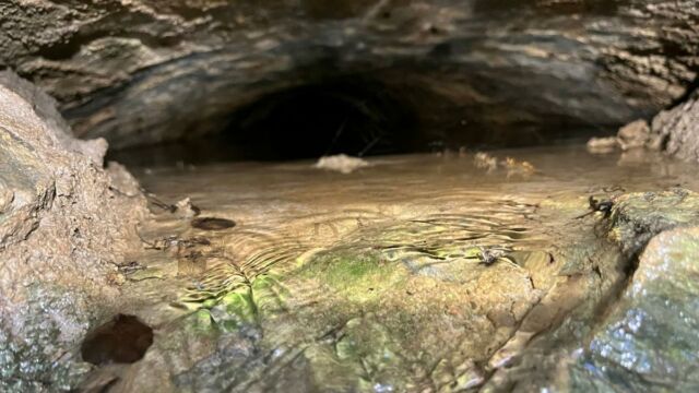 Aperture: 2
Camera: iPhone 13 mini
Iso: 500
Orientation: 1 2025-05-04-Grotte-de-Corte-Meria LMJC 031