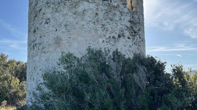 Aperture: 2
Camera: iPhone 13 mini
Iso: 50
Orientation: 1 2026-02-21-Macinaggio-Moulin-Stanti-Francese-Coscia-Macinaggio-LMJC-02