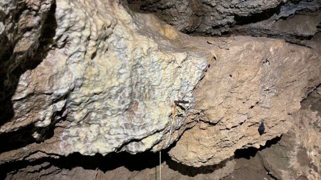 Aperture: 2
Camera: iPhone 13 mini
Iso: 250
Orientation: 1 2026-02-21-Macinaggio-Moulin-Stanti-Francese-Coscia-Macinaggio-LMJC-28