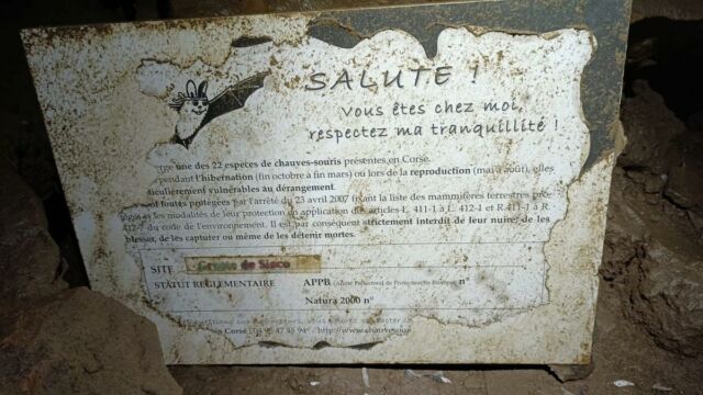 2026-02-21-Macinaggio-Moulin-Stanti-Francese-Coscia-Macinaggio-MD-53