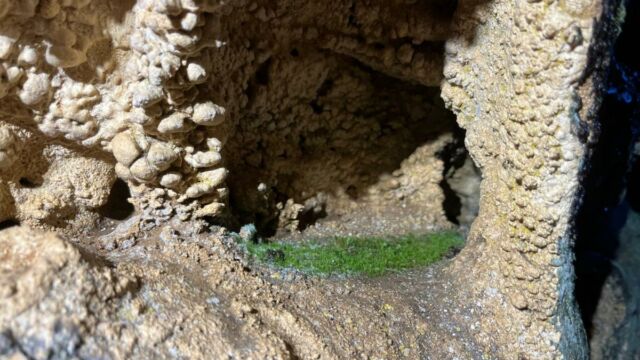 Aperture: 2
Camera: iPhone 13 mini
Iso: 100
Orientation: 1 2026-03-28-Canadolo-LMJC-43