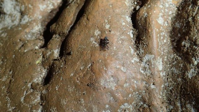 Aperture: 2
Camera: TG-4
Iso: 160
Orientation: 1 OLYMPUS DIGITAL CAMERA