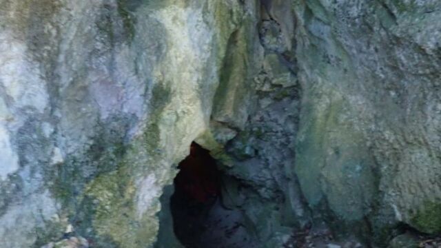 IMG 0002 (1)
