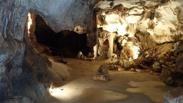 IMG 0003 (1)