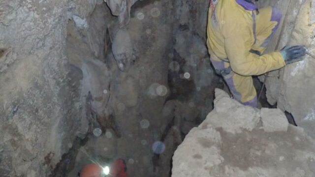 IMG 0003 (1) (1)