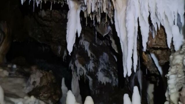 IMG 0004 1 (1)
