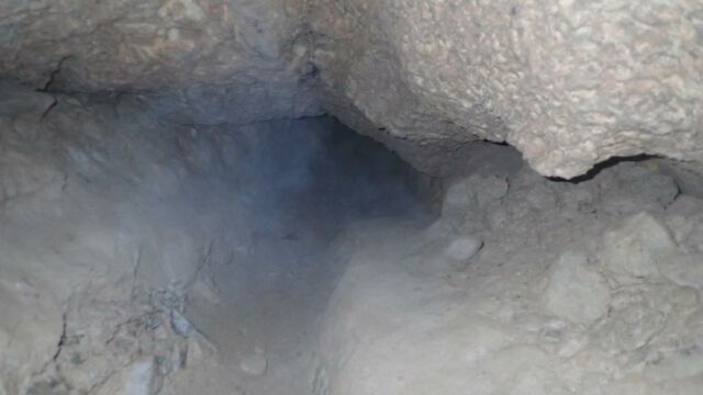IMG 0005 (1) (1)
