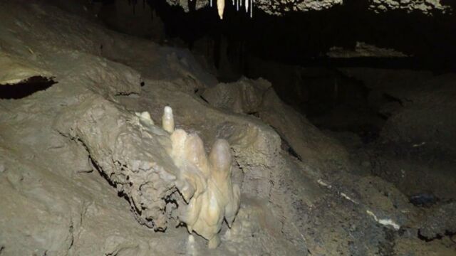 IMG 0007 (1)
