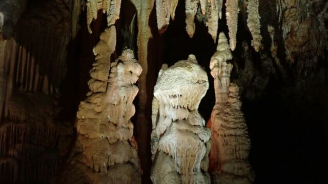 IMG 0008 (1)