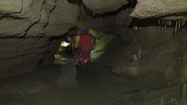 IMG 0008 (1) (1)
