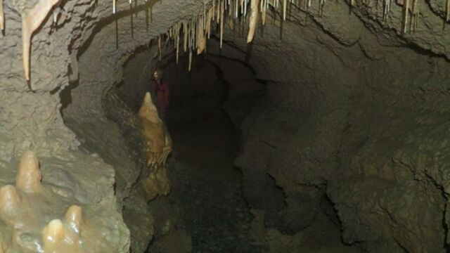 IMG 0010 (1) (1)