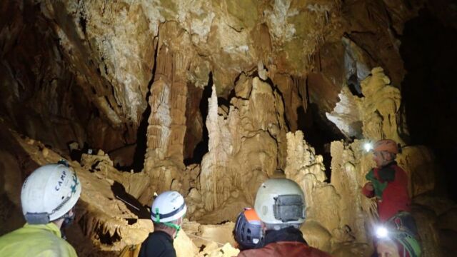 IMG 0012 (1)