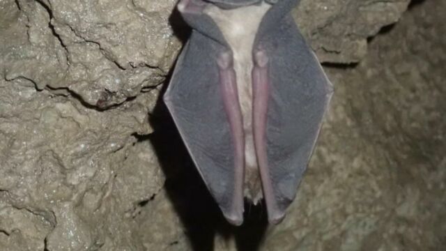 IMG 0012 (1) (1)