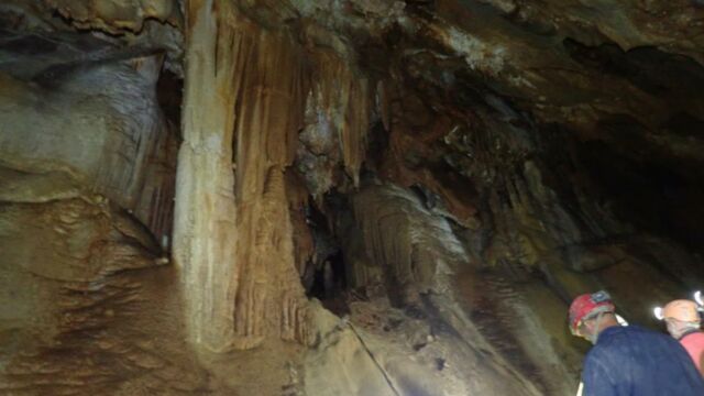 IMG 0013 (1)