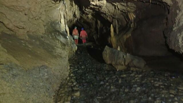 IMG 0016 (1)
