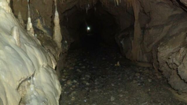 IMG 0017 (1) (1)