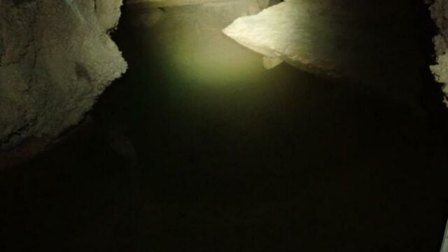 IMG 0019 (1)