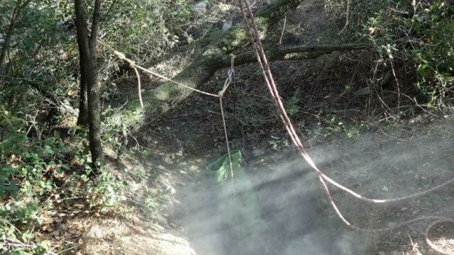 IMG 0019 (1) (1)