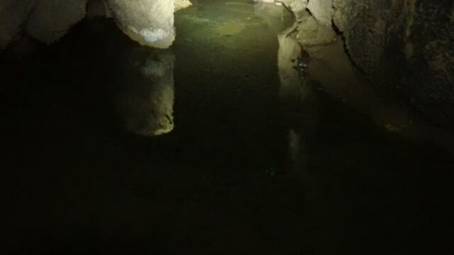 IMG 0020 (1)