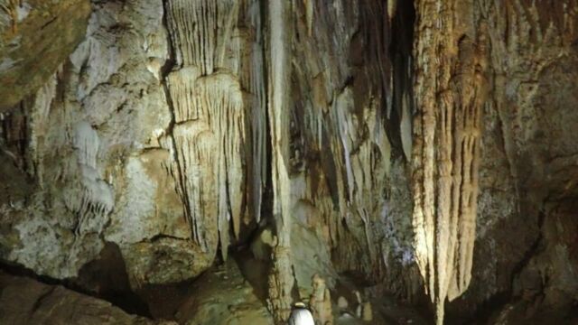IMG 0021 (1) (1)