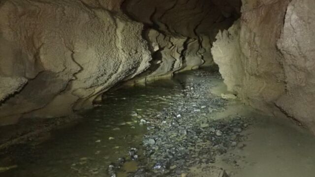 IMG 0022 (1)