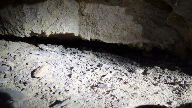 IMG 0024 (1)