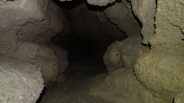 IMG 0027 (1)