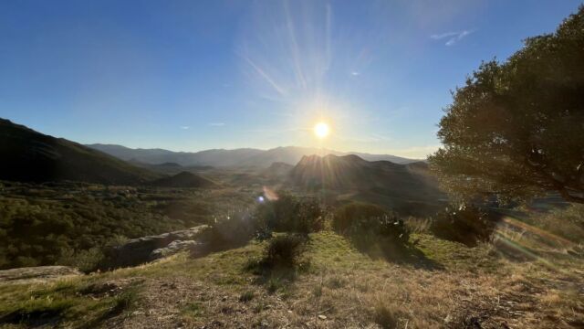 Aperture: 2
Camera: iPhone 13 mini
Iso: 32
Orientation: 1 IMG 8143