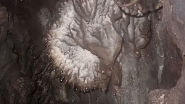 Aperture: 4
Camera: TG-6
Iso: 1600
Orientation: 1 08-meduse