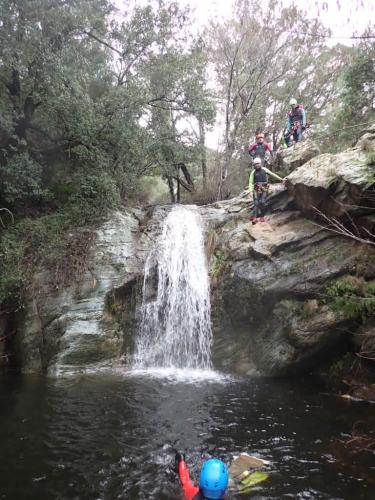 WhatsApp-Image-2025-02-02-at-19.08.31-3