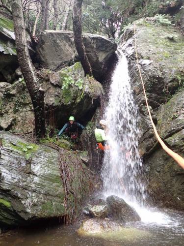 WhatsApp-Image-2025-02-02-at-19.08.34-1