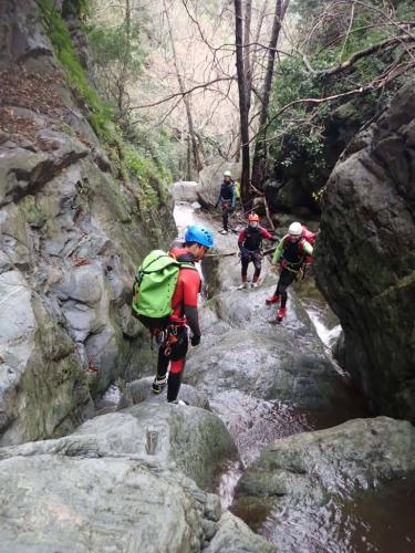 WhatsApp-Image-2025-02-02-at-19.08.35-1