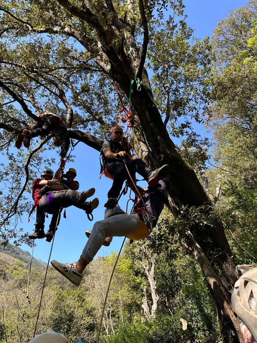 2025-04-05-Mulinu ITP 015