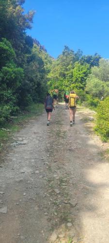 WhatsApp-Image-2025-05-18-at-18.43.37-3