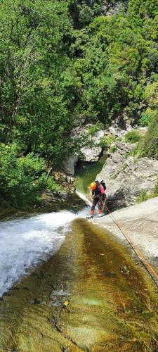 WhatsApp-Image-2025-05-21-at-20.39.43-2