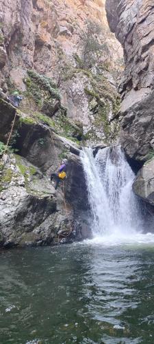 WhatsApp-Image-2025-04-06-at-21.31.05-4